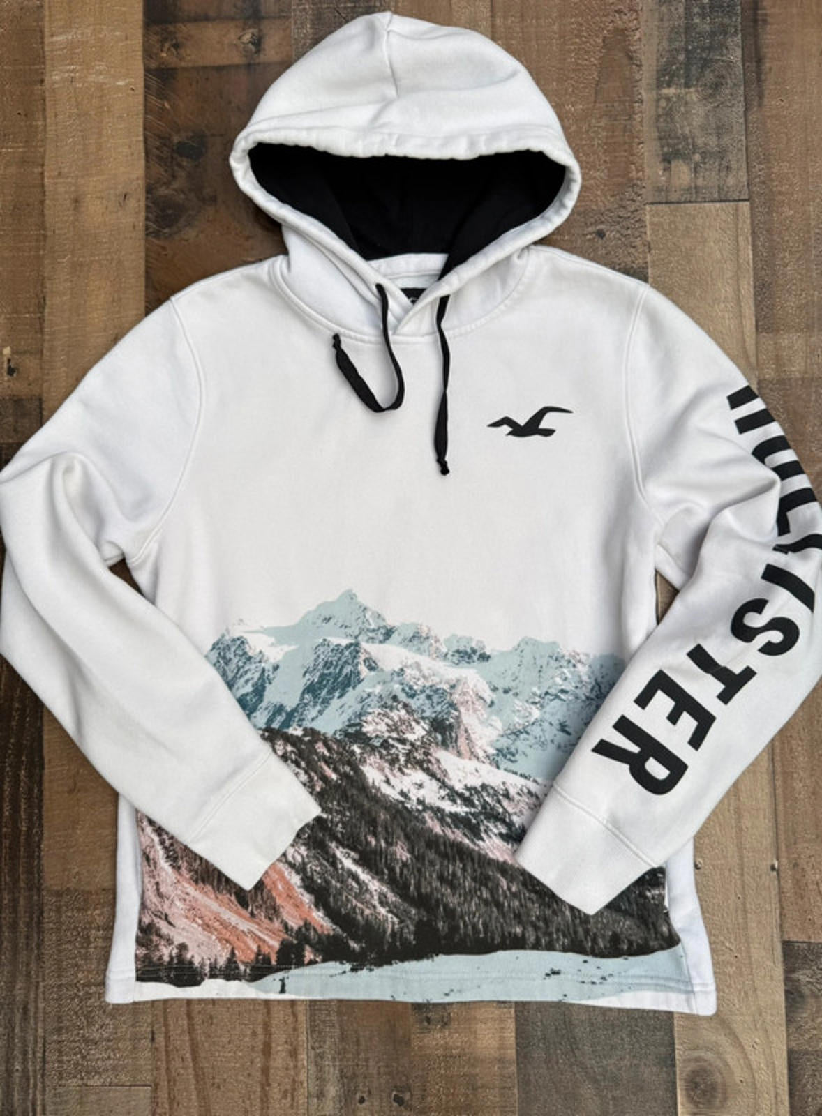 Hollister Snow Scenery Graphic White Pull Over Hoodie Men’s Size M